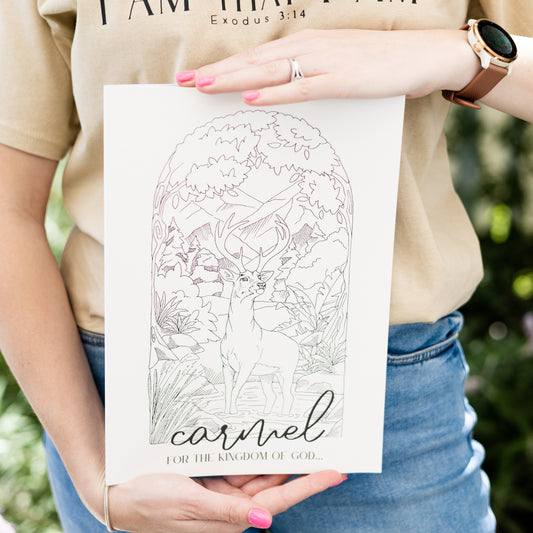 Carmel Coloring Book